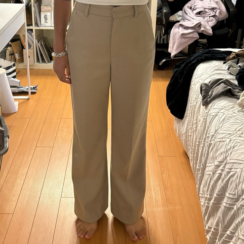 Thick Zara Wool Dress Pants